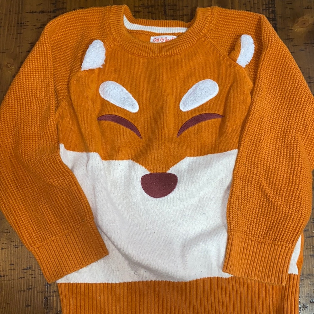 Boys fox sweater